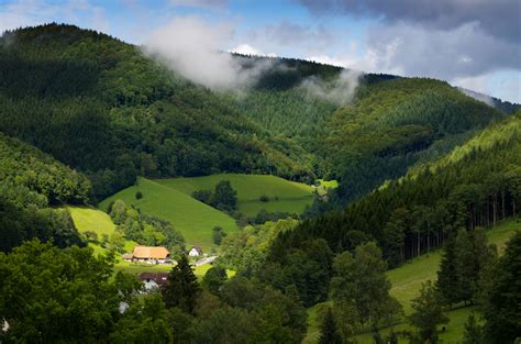 Black Forest ป่าดำ ผืนป่าแห่งทัศนียภาพในเยอรมนี