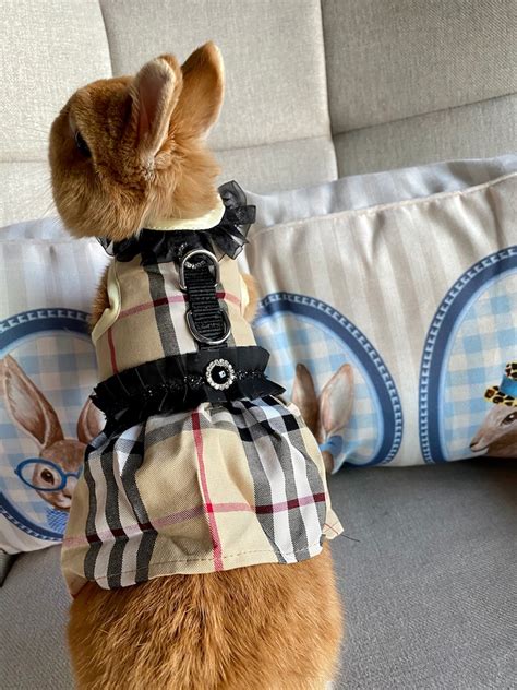 Bunny Harness Dress For Rabbit Cat Small Pet Rabbit Clothes Etsy