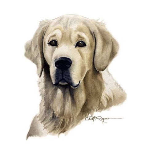 Golden Retriever Dog Art Print Signed By Artist Dj Rogers Dog Print
