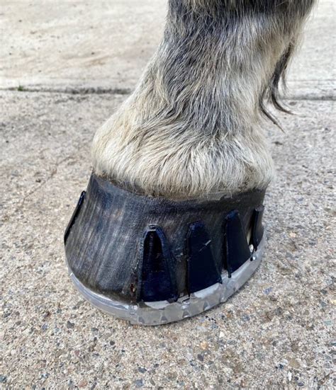 Shoe A Horse With Super Glue Easycare Hoof Boot News