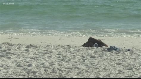 Woman Dies After Contracting Flesh Eating Bacteria At Florida Beach Florida Beaches Beach