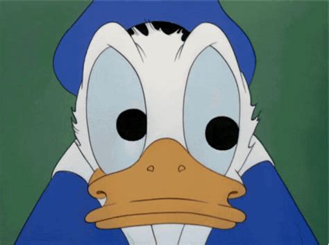 Donald Duck Disney  Find And Share On Giphy