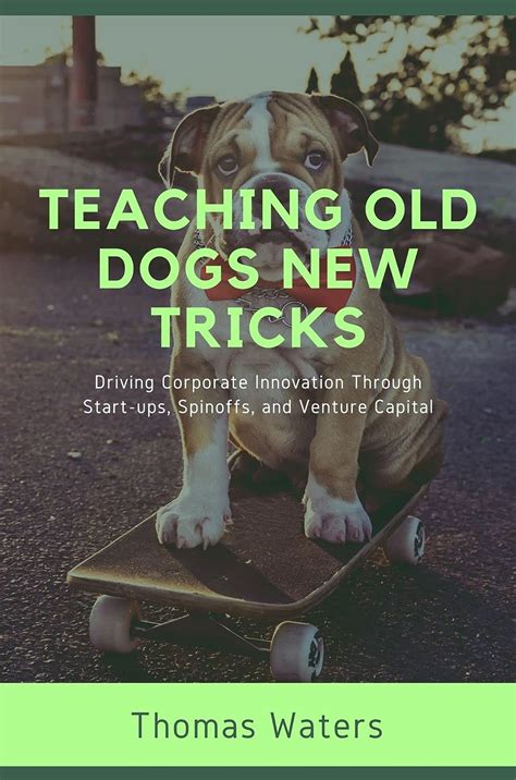 Buy Teaching Old Dogs New Tricks Driving Corporate Innovation Through