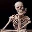 Waiting Skeleton Blank Template  Imgflip