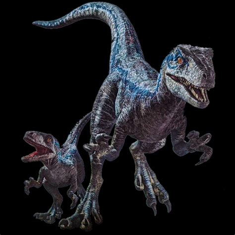 Jurassic World Dominion Blue Beta Velociraptor Realbig Officially Licensed Nbc Universal