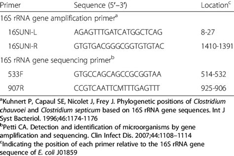 oligonucleotide primer for 16s rrna gene amplification and sequencing download table