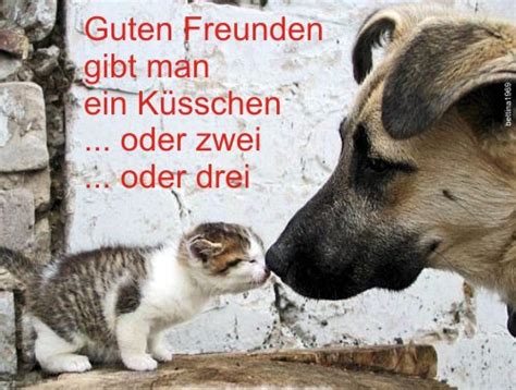 Um liebe grüße zu schicken, verwendet man heutzutage whatsapp oder facebook, mit denen man bilder mit sprüchen und wünschen schnell und wirkungsvoll versenden kann. Küsschen-Freund - Kostenlose Gästebuchbilder
