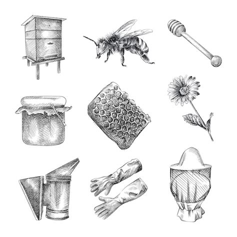 Premium Vector Hand Drawn Sketch Set Of Beekeeping Set Includes