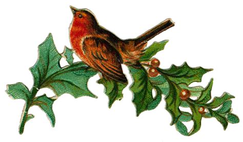 Clipart Christmas Bird Clipart Christmas Bird Transparent Free For