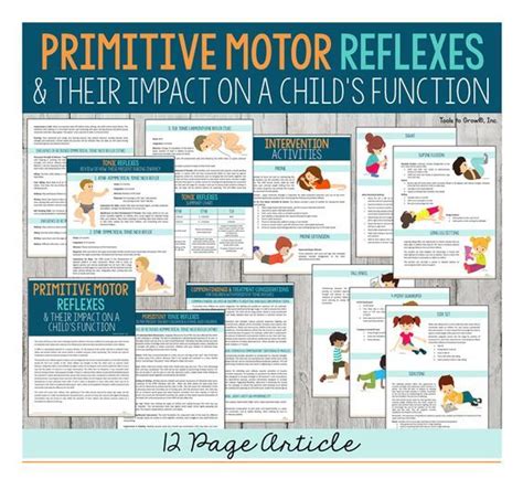 Primitive Motor Reflexes And Their Impact On A Childs Function