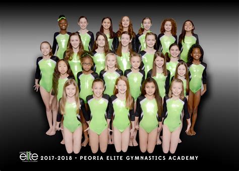 PEGA Team 2017-2018 - Peoria Elite Gymnastics Academy