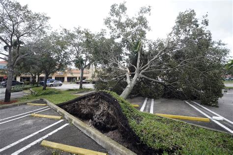 Heres How To Get Your Hurricane Ian Debris Picked Up In St Pete