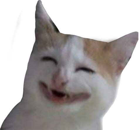 Meme Lol Cat Smile Stickers Freetoedit Sticker By Luzdeware