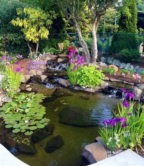 19 Garden Pond Plants Ideas You Cannot Miss Sharonsable