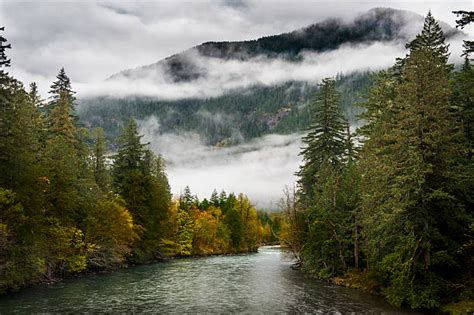 Top Skagit River Stock Photos Pictures And Images Istock