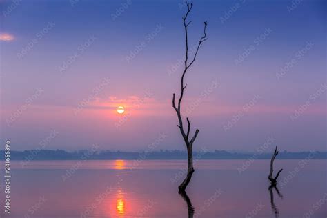 Silhouette Of Birds Sitting On Dead Wood In Front Of Sun Rise Over Big