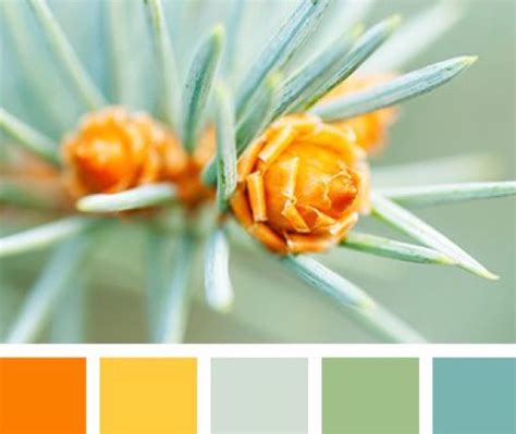 Green Yellow And Blue Colour Palette Photo