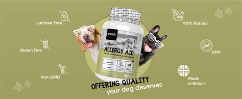 Allergy Aid For Dogs 120 Dog Allergy Tablets Relieves Dog Itchy