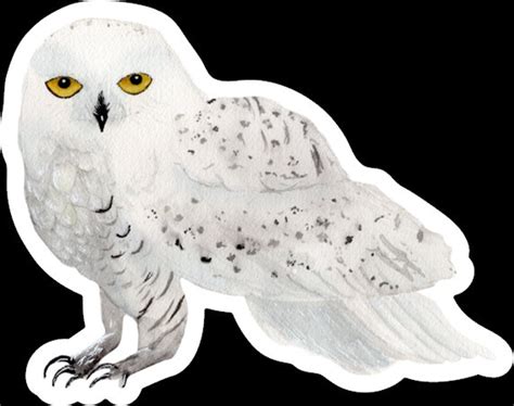 Snowy Owl Sticker Hedwig Decal Harry Potter Sticker Etsy