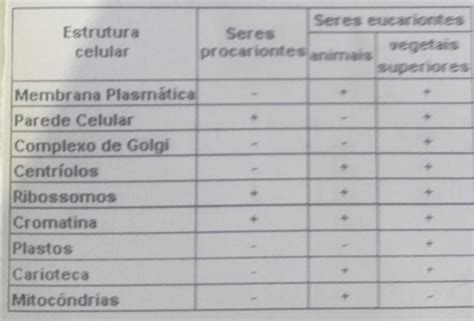 Os Nomes Científicos Apresentam Algumas Regras Que Devem Ser Seguidas