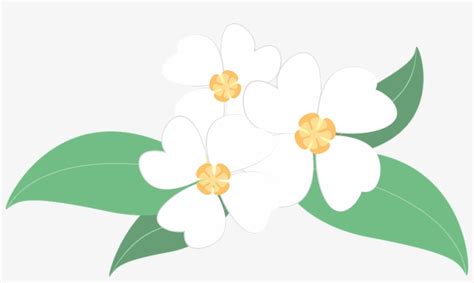 White Flower Clipart Bunga Gambar Bunga Melati Vektor Free
