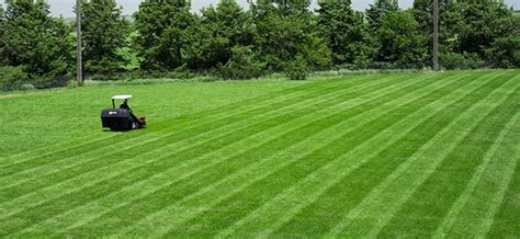 Lawn Striping How To Mow Stripes And Patterns Exmark Blog