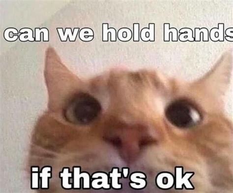 Can We Hold Hands Rwholesomememes