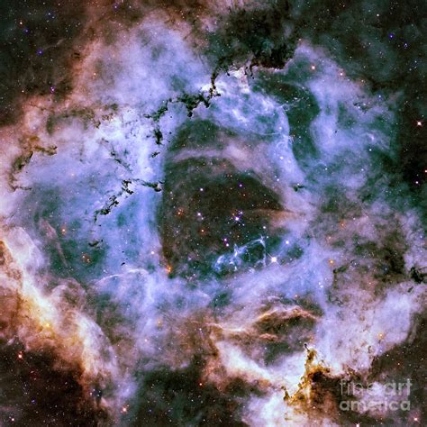 Rosette Nebula Sho Photograph By Jim Delillo