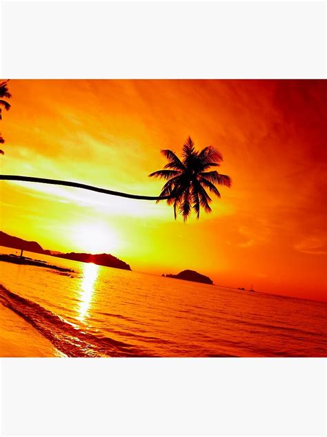 Thailand Beach Sea Sunset Sky Palm Trees Poster By Blackspark09