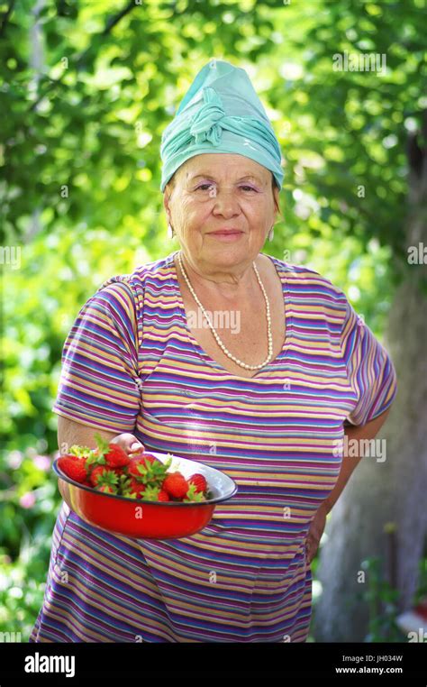 Happy Old Woman With A Strawberry Crop In The Garden Beautiful Old