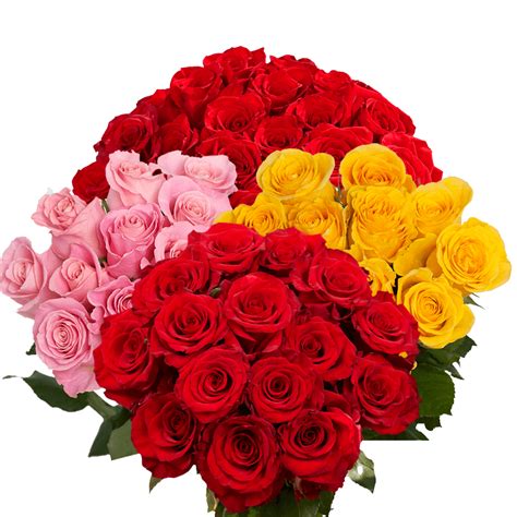 Beautiful Red And Color Roses For Sale Globalrose