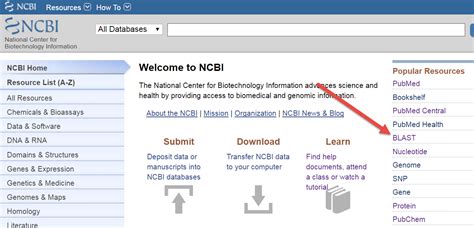 Guide On The Side Ncbi Blast Part A Identifying Sequences Single