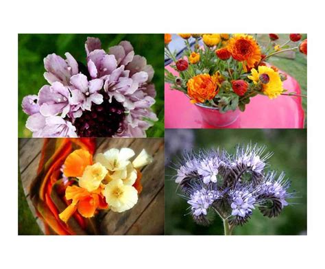 Learn about the architects and buildings at the forefront of sustainable architecture, as well as key topics like materials, hvac, green certification, and passive house. Seeds For A Bee Friendly Cut Flower Garden. - Higgledy Garden