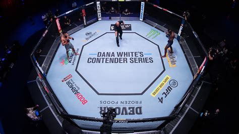 Dana Whites Contender Series Week 9 Preview Ufc