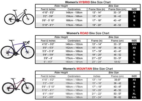 Ladies Mountain Bike Size Guide Gambaran