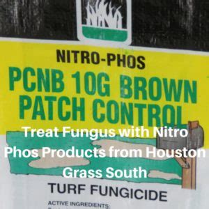 Avoid watering at night, as this is when fungus tends to grow. How to Treat Fungus in Sod - Houston Grass South - Pearland Sugar Land