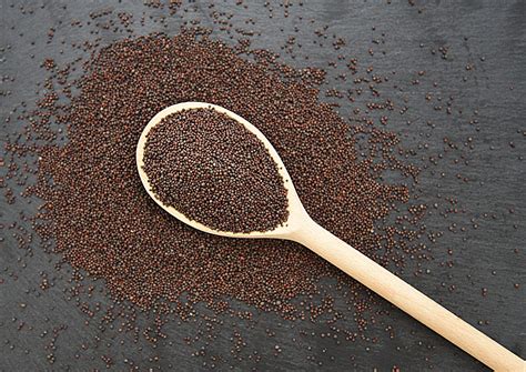 Black Mustard Seeds Balsara Foods