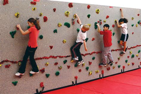 Climbing Wall Holds