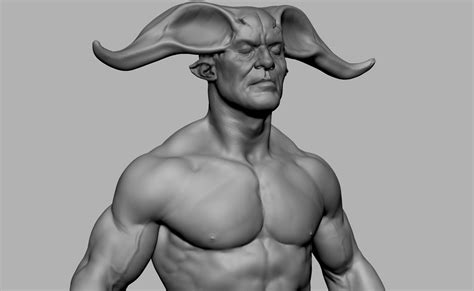 Media in category male human anatomy. ArtStation - Male Anatomy Collection | Game Assets