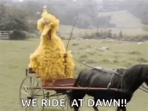 We Ride At Dawn Ifunny