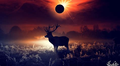 Deer Artist Artwork Digital Art Hd Animals Coolwallpapersme