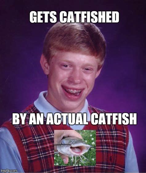 Catfish Imgflip