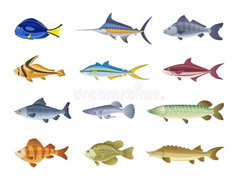 Set Of Fish Characters Cartoon Vector Illustration Stock Vector