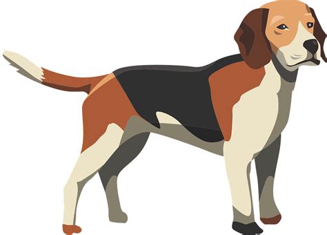 Download Dog Hound Mammal Royalty Free Vector Graphic Pixabay