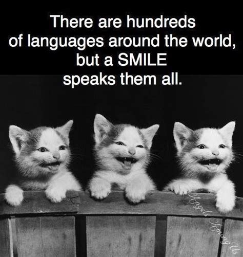 Bossbabe quotes, bossbabe, bossbabe quote motivation, bossbaby quotes entrepreneur, bossbaby quotes determination, bossbaby quotes hustle motivational quote poster or print no struggle frederick douglass quote. 40 Best Smile Quotes That Will Brighten Your Day