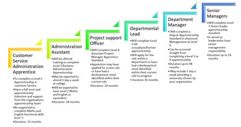 Career Progression Nhs Apprenticeship Hub