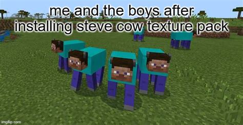 Minecraft Steve Cow Texture Pack Imgflip