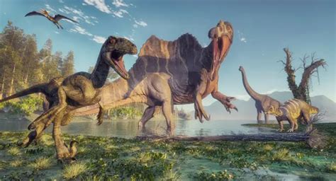 What Did The Raptor Dinosaur Habitat Look Like Plus 11 More Facts