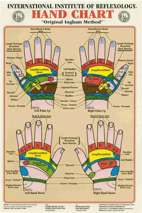 Pin By Csc 12 On Reflexology And Pressure Points Reflexology Hand Reflexology Reflexology Chart