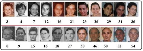 Face Detection Face Recognition And Age Estimation Using Samples From